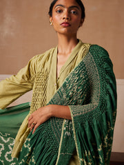 Smocked Saree